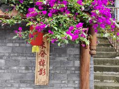 -恩阳古镇