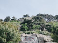 -泰山风景名胜区