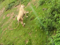 -泉州海丝野生动物世界