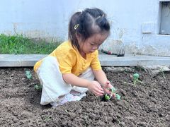 -硅谷蒙学幼儿园