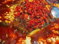 重庆豆花烤鱼-探鱼·鲜青椒爽麻烤鱼(苏宁广场店)