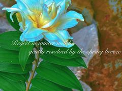 -素山寺森林公园