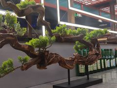 -明洞王妃家烤肉(苏州中心星悦汇店)