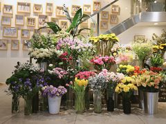 -植物学家的女儿(北马道巷店)