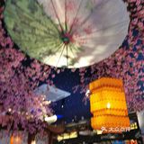 OOTD丨疫情在家吃什么呢