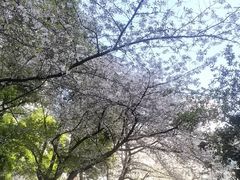 -玛格萝妮比萨屋(四平店)