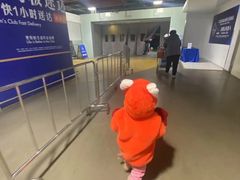 -山姆会员商店(亦庄创意生活广场店)