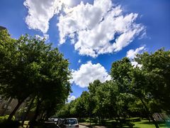 -北京师范大学(珠海校区)