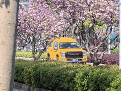 -苏州独墅湖体育馆