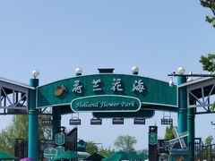 -荷兰花海