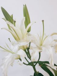 -美肤盾祛痘·问题肌头疗管理中心