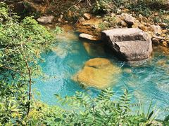 -广州白江湖森林公园