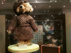 -济州岛泰迪熊博物馆