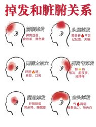 -Bollins波林丝•专研护发中心