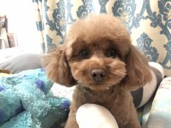 -飛凡TATTOO纹身•原创