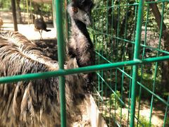 -青藏高原野生动物园