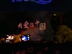 -荷兰花海