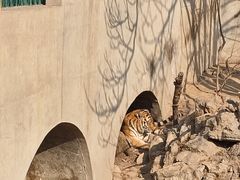 -保定市动物园