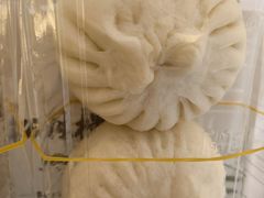 -春风松月楼(七宝万科店)