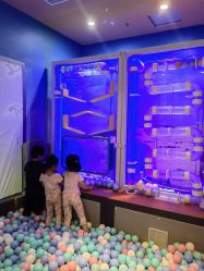 -卡通尼·Safari非洲探索乐园·生日会(金桥国际商业广场店)