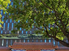 -天雅古玩城
