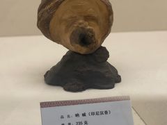 -中国沉香文化博物馆