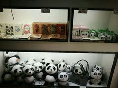 -熊猫邮局(少城店)