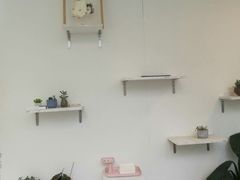 -有猫主题·治愈系猫咖(曾厝垵店)
