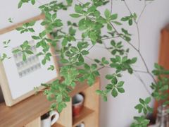 -京东家装(昆明总店)