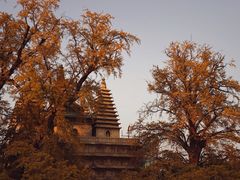 -北京石刻艺术博物馆(五塔寺)