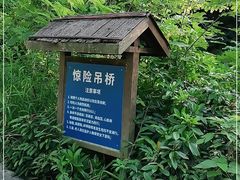 -青青世界