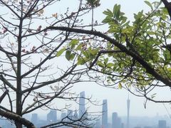 -广州市白云山风景名胜区