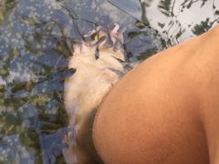 -三亚珠江南田温泉度假区