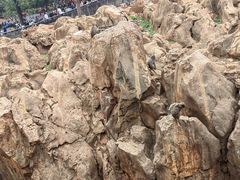 -昆明动物园