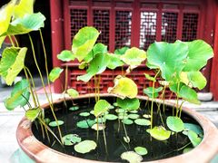 -上海财神庙