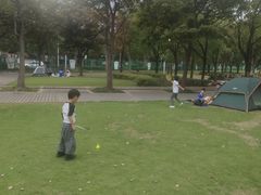 -新江湾城公园