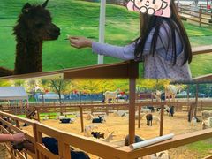 -盈香心动乐园
