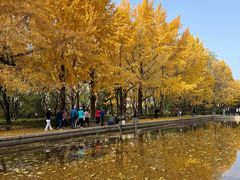 -玲珑塔公园