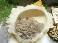 鲜虾-格瑞欧海鲜自助烤肉火锅(光彩店)