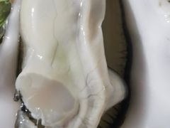 生蚝-生物岛餐厅
