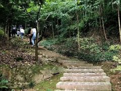 -上海佘山国家森林公园天马山园