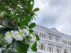 -Long Bar(莱佛士酒店)