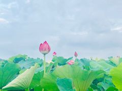 -浙江农林大学(东湖校区)