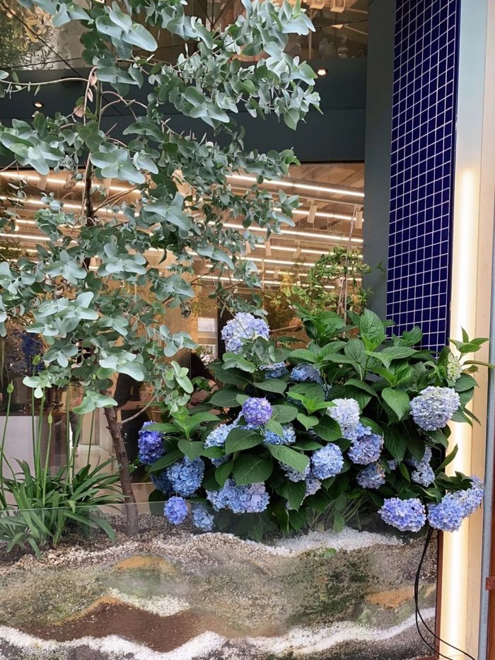 复兴西路/丁香花园 家具家居 其他家具家居 beast home·野兽派家居