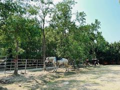 -上海海湾国家森林公园