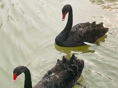 -石家庄市动物园