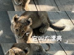 -秦皇岛野生动物园