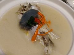 养颜白汁河豚-肆月河豚·新淮扬(金融街店)