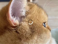 -人民公园-相亲角