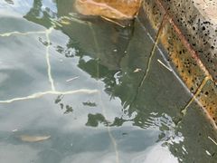 -山湖温泉